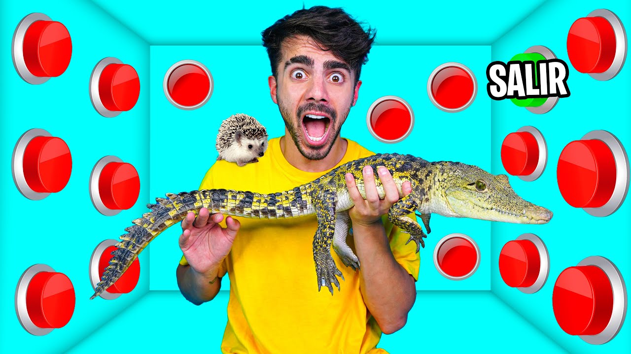 100 BOTONES MISTERIOSOS DE ANIMALES SOLO 1 PARA ESCAPAR! *parte 2*