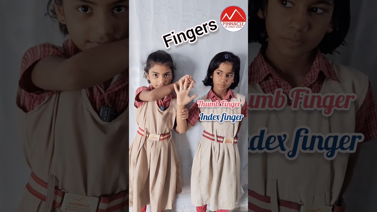 Fingers Names in English #pinnacle #school #education #fingers