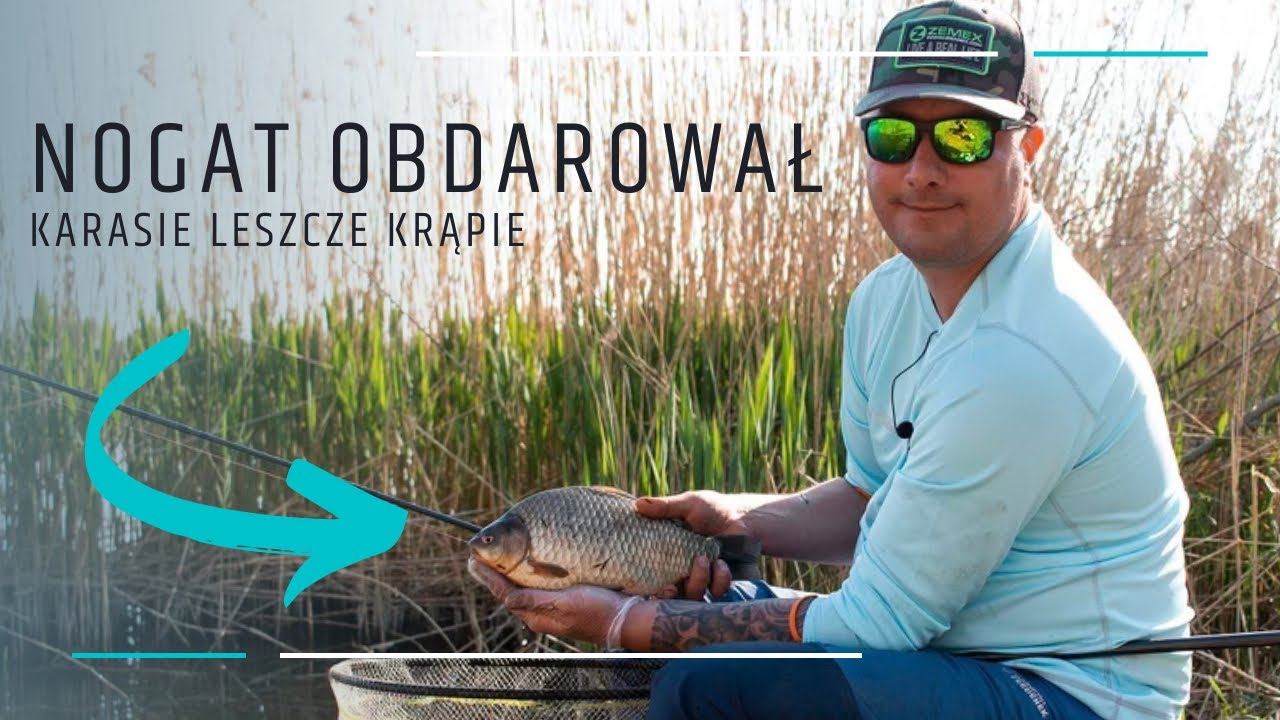 Nogat Obdarował I Niespodzianka od iFeeder dla Widzów Kanału