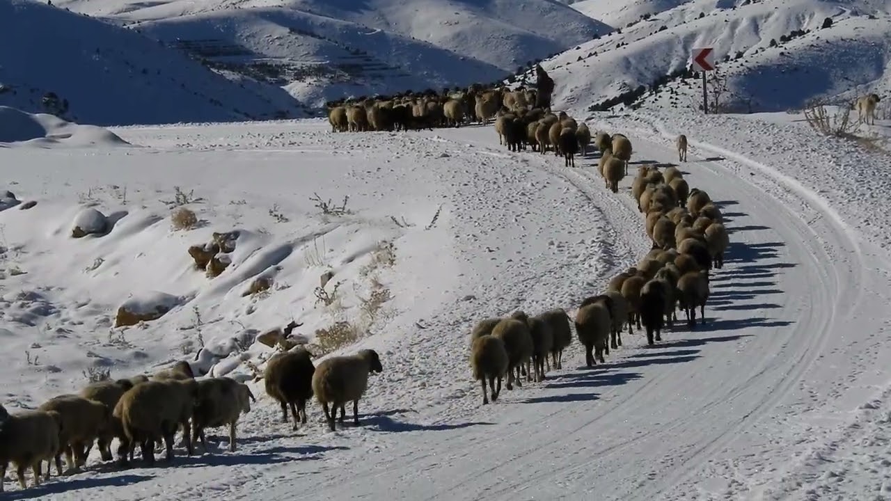 Hadim Dağlarından