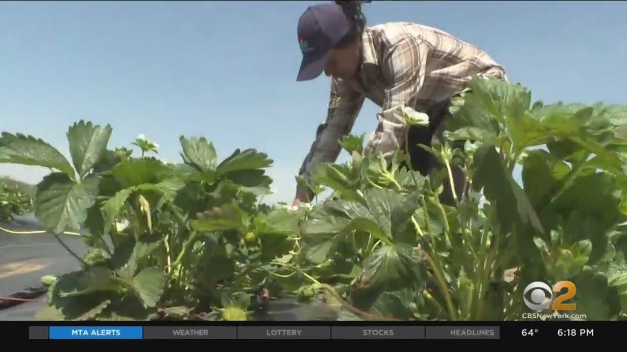 Rutgers Launches Public Course To Train New Farmers In New Jersey