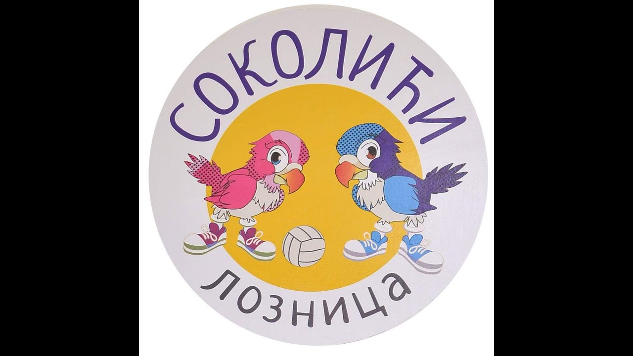 &Scaron;kolica sporta Sokolići