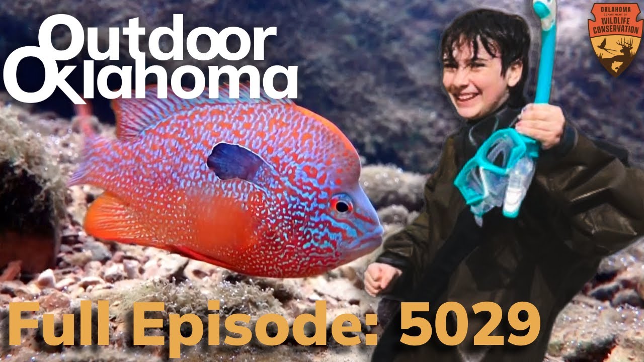 Snorkeling in Oklahoma?! + Trout Fishing + Winter Striper Fishing Secrets 🐟