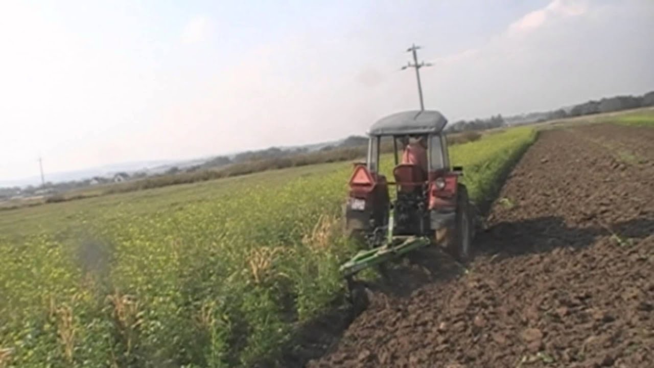 Orka 2015*C-360&Bomet-Podkarpacie