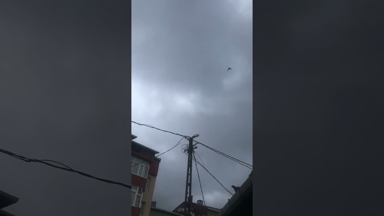 Arkatepe Beyaz dişimizden bir kısım şovlar &ccedil;ıtırdan🇹🇷🇹🇷🇹🇷