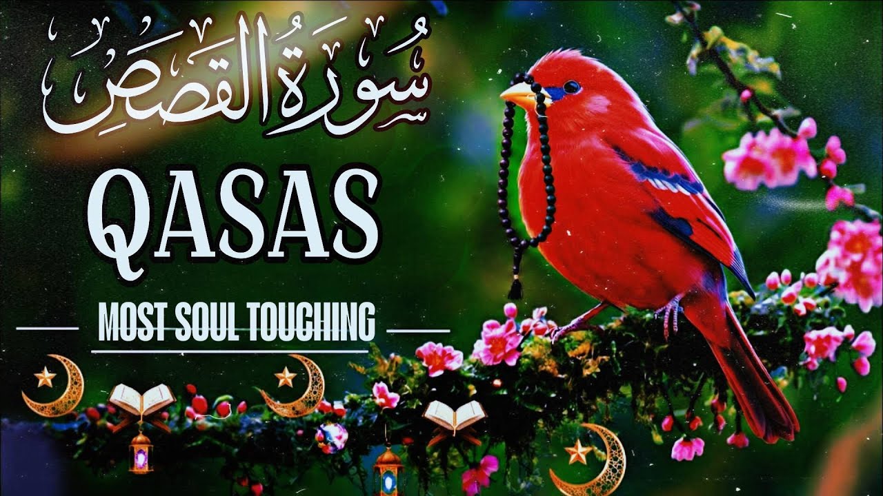 Listen to Surah Al-Qasas | Soul Soothing Quran Recitation | سورة القصص