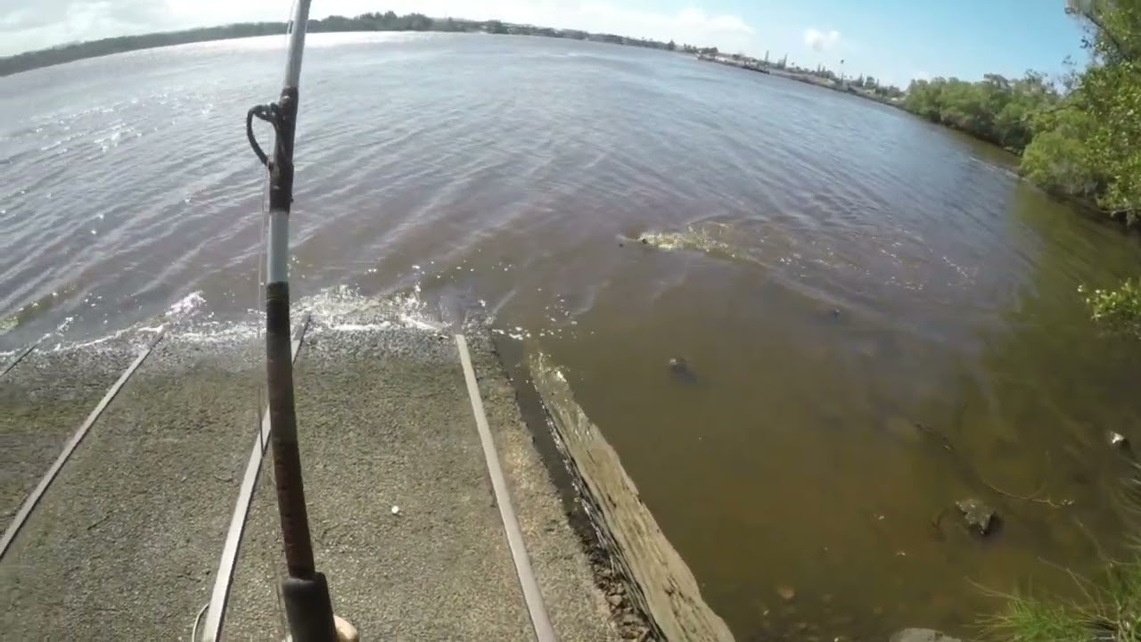 Episode 46 another south Ballina 3ft bull shark at good day fishing