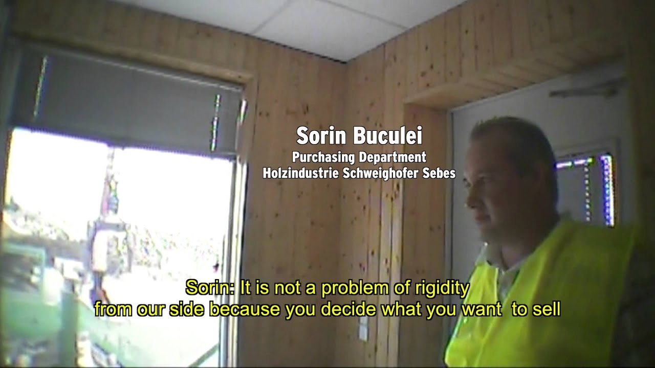 Holzindustrie Schweighofer & Illegal Timber