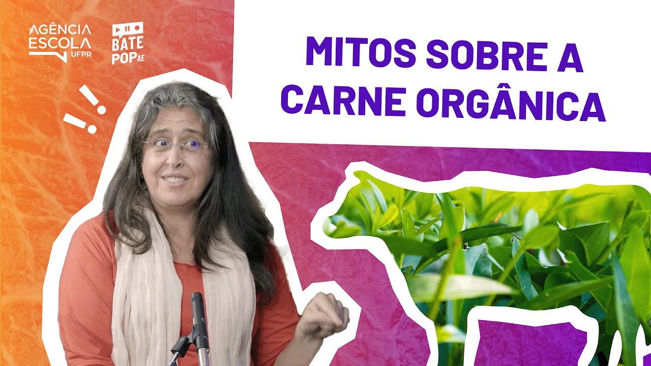 Entenda a história do “hormônio na carne”