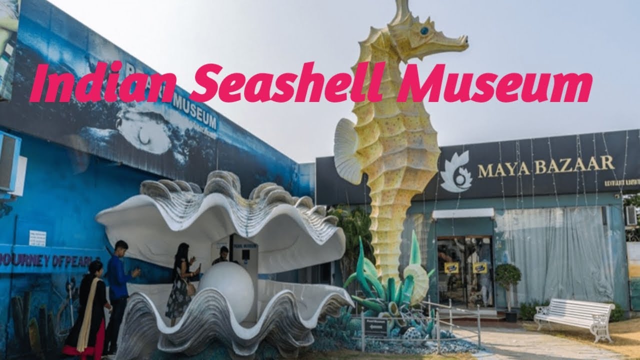 Beautiful views of Dinosaur Park ,Pearl, Shell and Mineral Museum Mahabalipuram #sandtfoodies