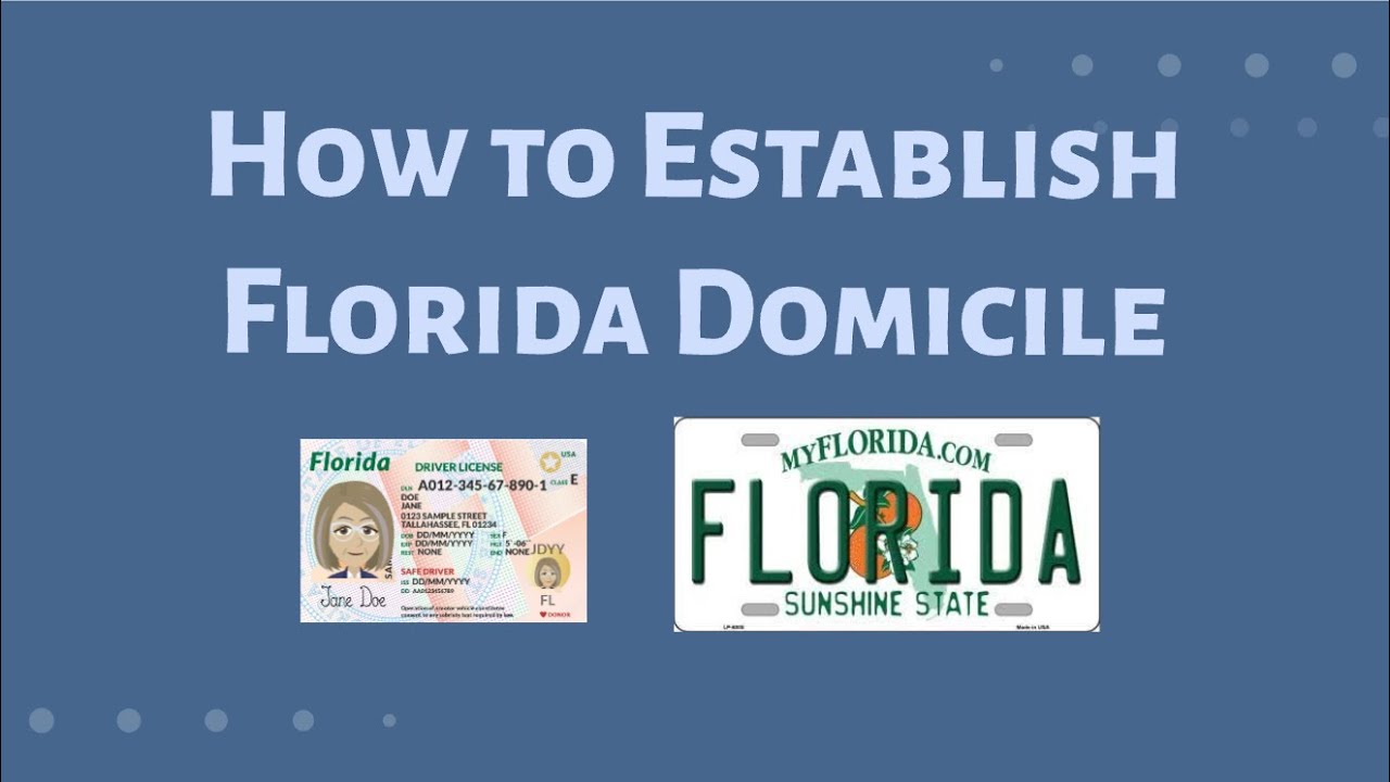 Establishing Florida Domicile | Nici Law Firm