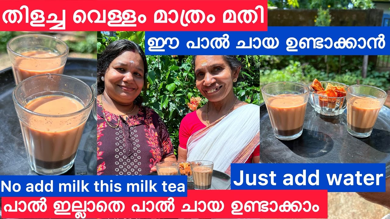 പാൽ ഇല്ലാതെ പാൽ ചായ ഉണ്ടാക്കാം ഇതാ ആ സൂത്രം വെറും വെള്ളം മതി പാൽ ചായ റെഡി | Just add hot water |
