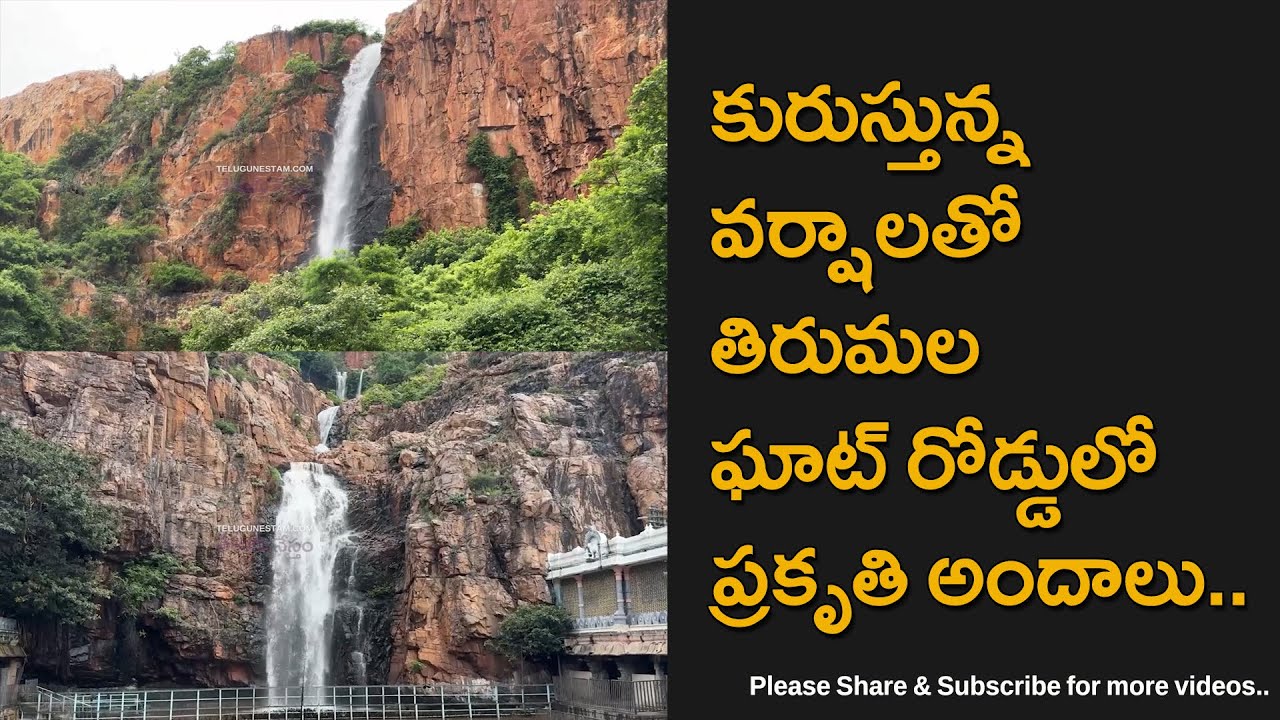 Heavy Rain Made Tirumala Ghats Live Again
