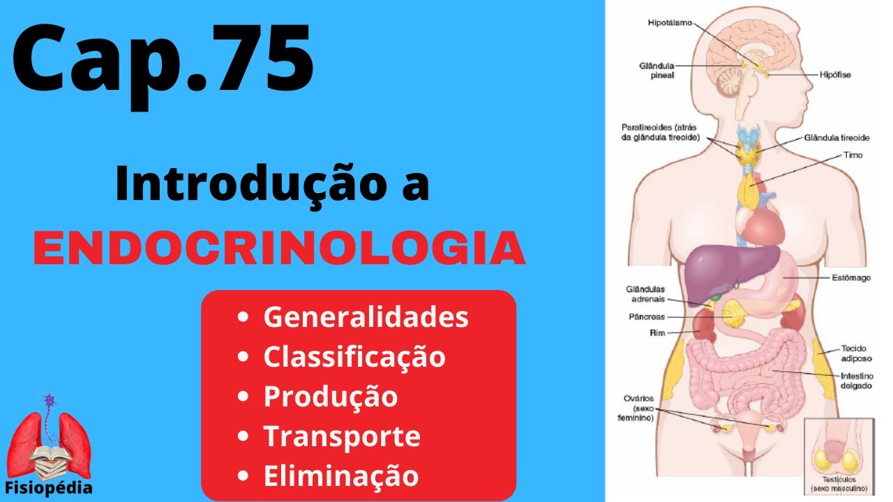 Cap.75: Introdu&ccedil;&atilde;o a endocrinologia