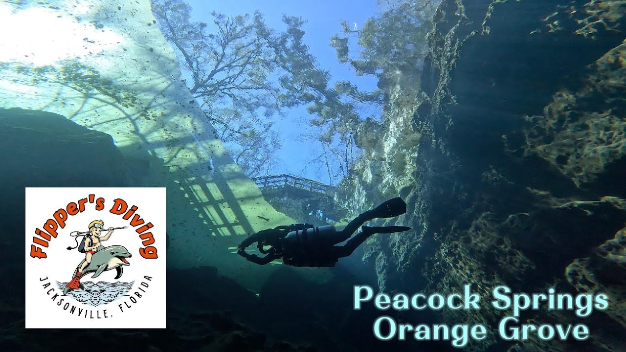 Peacock Springs -  Orange Grove