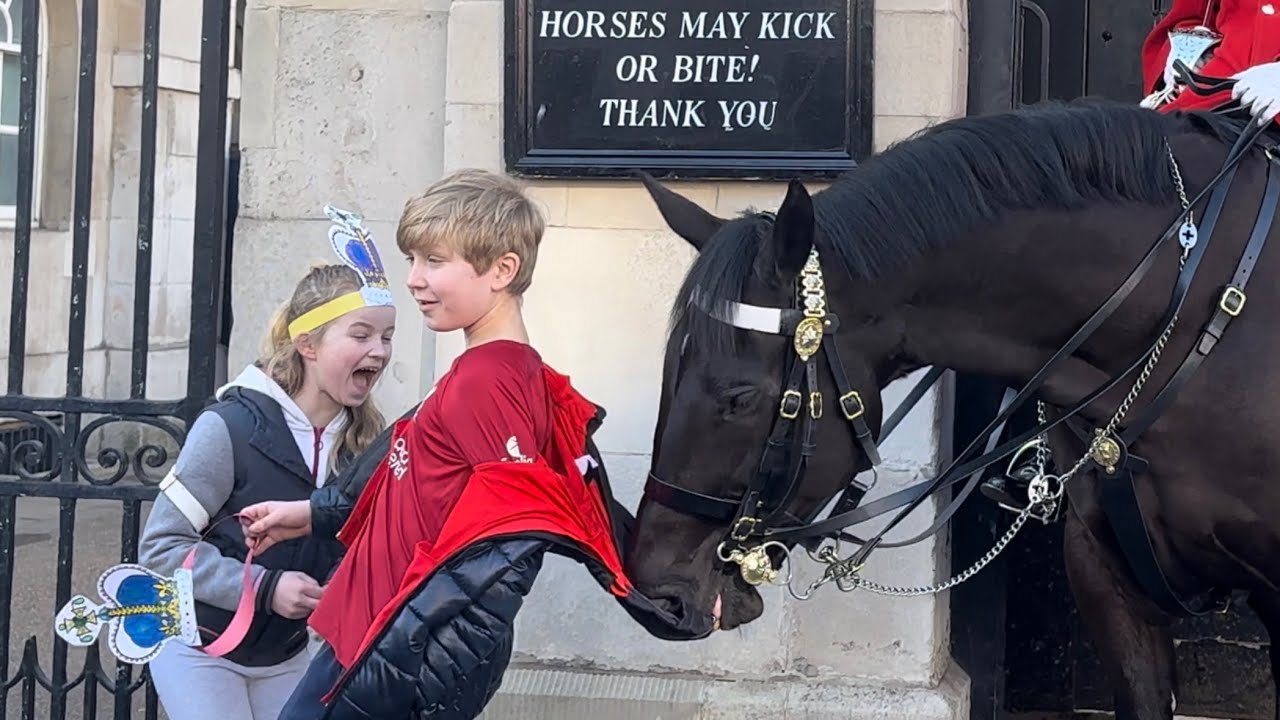 Horse Bites And Pulls Boy’s Jacket Off 🤣