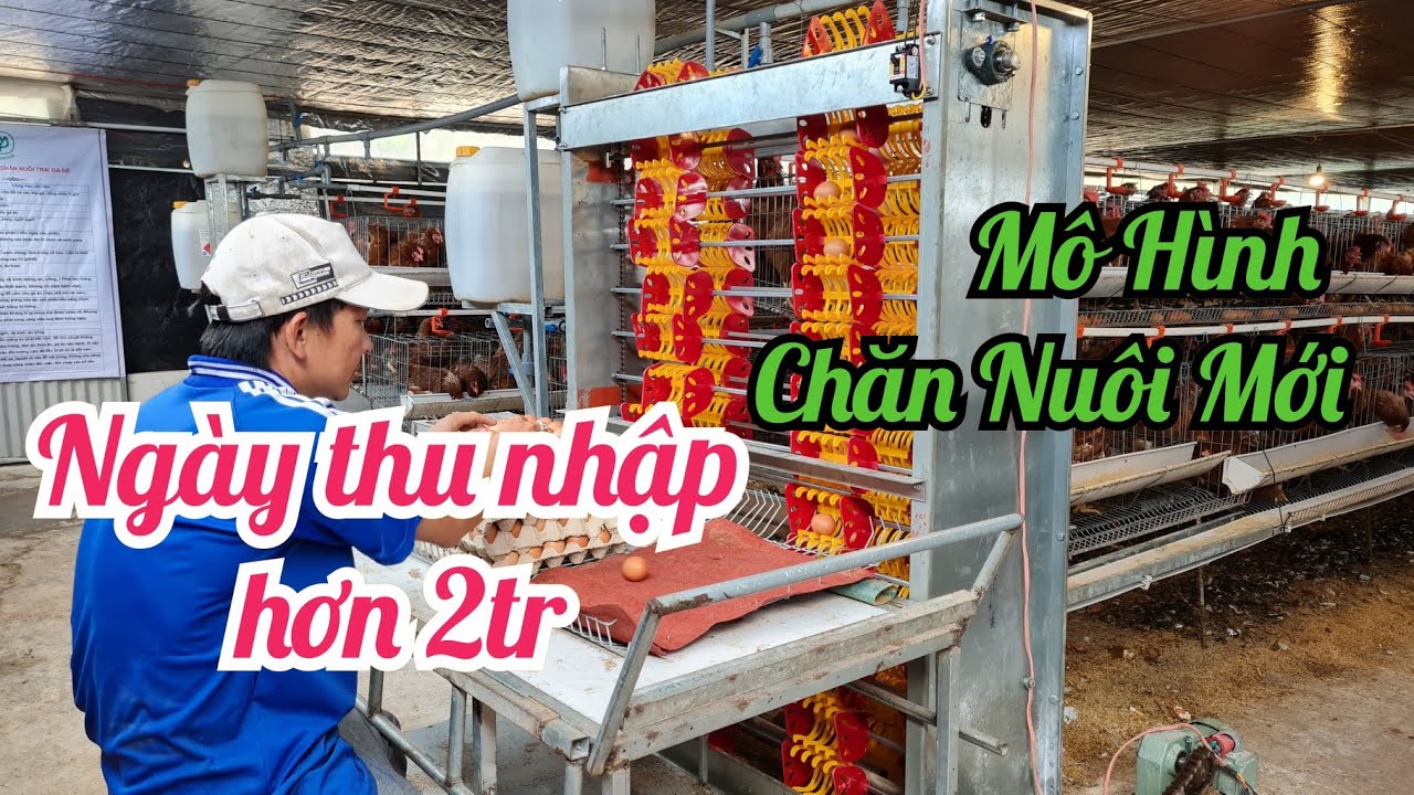 Mô hình chăn nuôi mới thành công nhờ áp dụng khoa học kỹ thuật công nghệ | Khởi Nghiệp TV