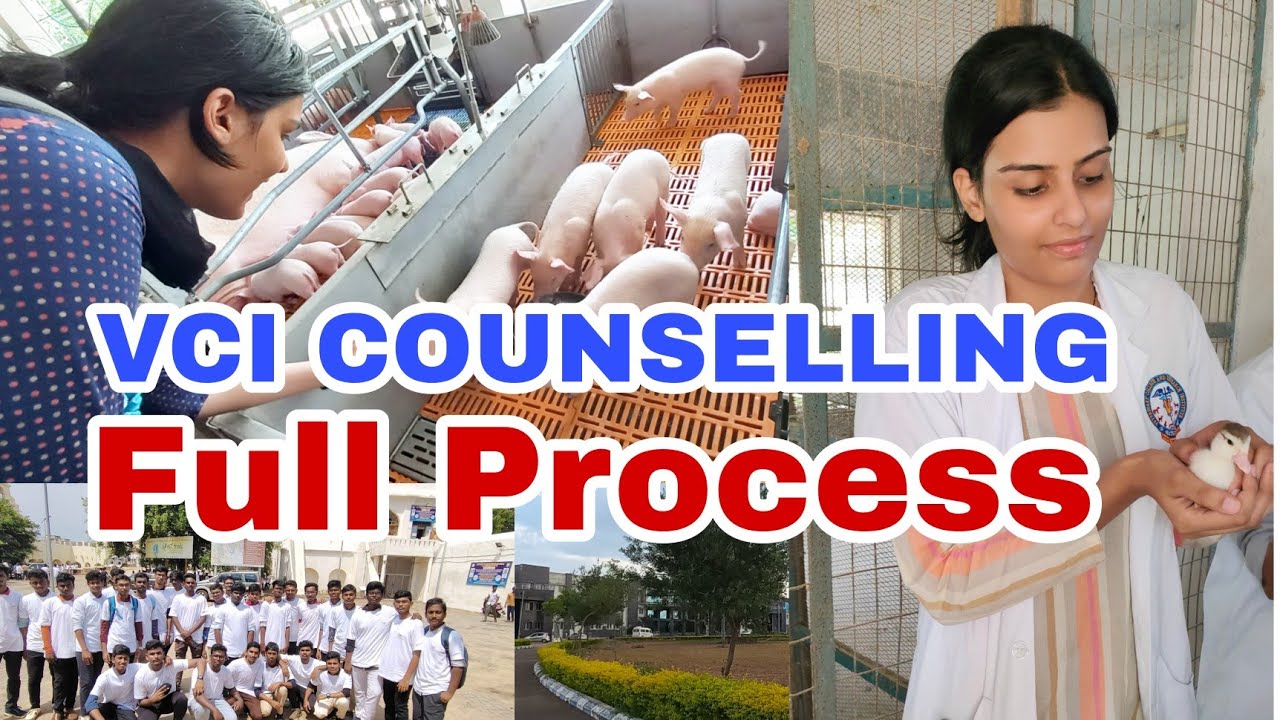 Complete VCI Counselling College Allotment Process // Easy Explanation// All Rounds #vci #vet #neet