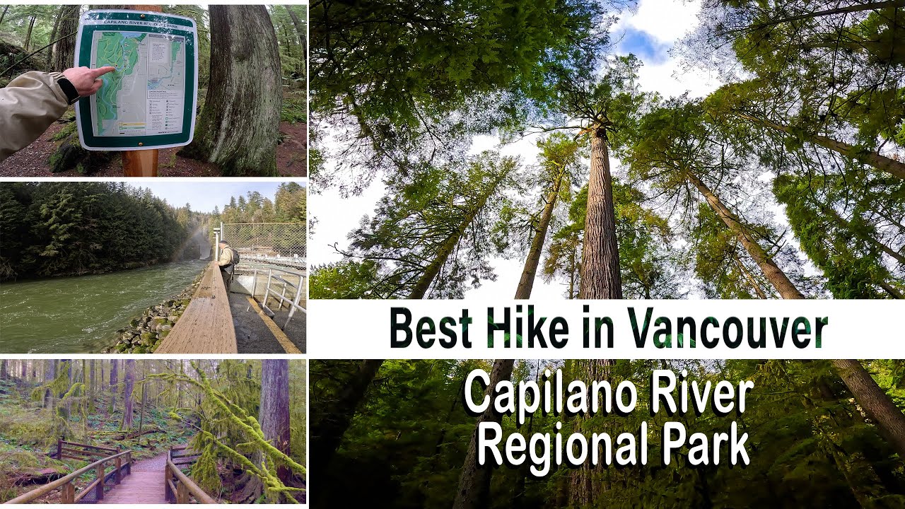Capilano River Regional Park in North Vancouver (BEST HIKE in NORTH VANCOUVER)