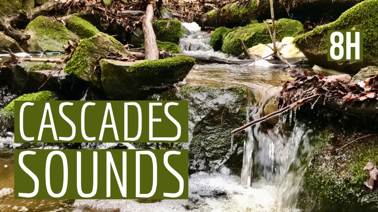 Woodland cascades calming stream sound | ASMR