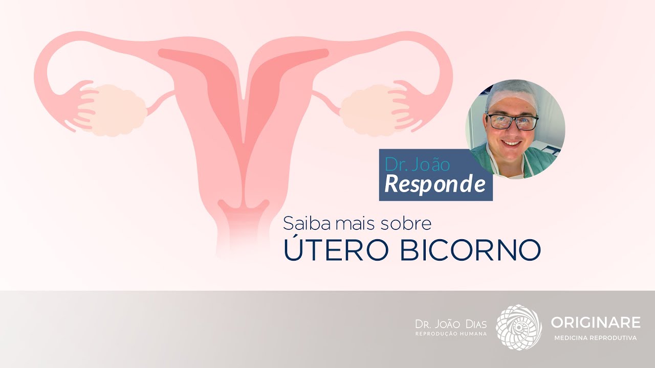 Útero bicorno: como essa condição afeta a fertilidade? - Dr João Responde