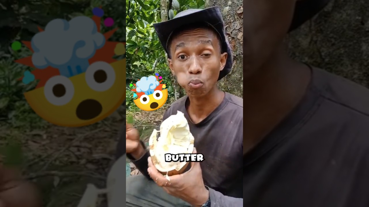 Top 5 Rare Fruits You&rsquo;ll Only Find in Brazil&rsquo;s Hidden Paradise!