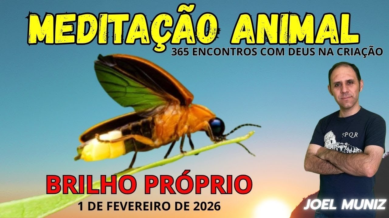 BRILHO PRÓPRIO - 01 DE FEVEREIRO DE 2026 - MEDITAÇÃO ANIMAL