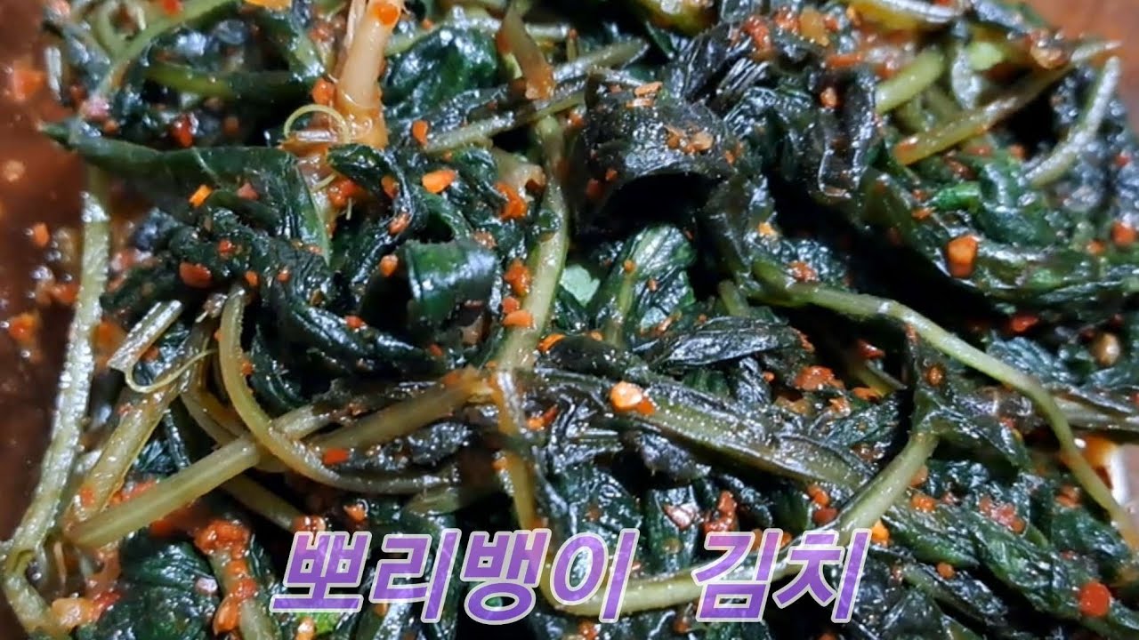 Delicious Ppolibaeng-i Namul K-wild vegetable Banchan from garden   맛과 영양가득 나물무침