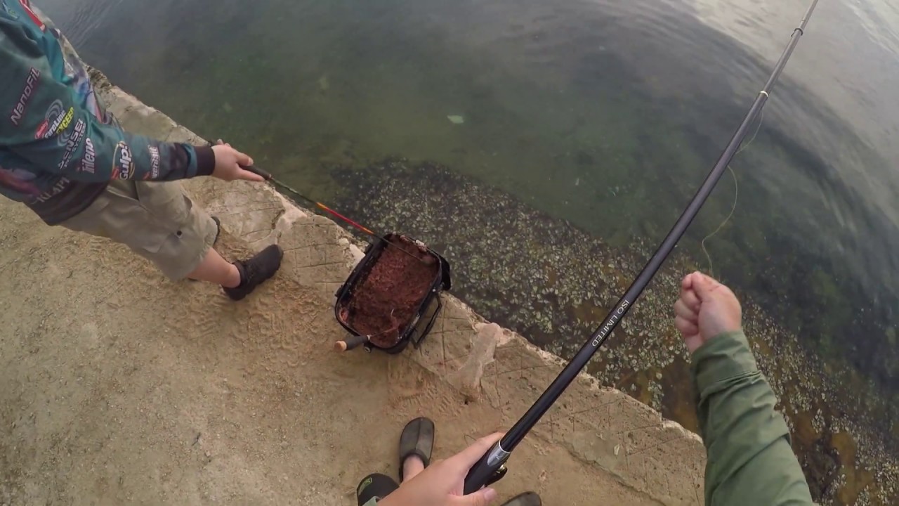 POV Kingfish on Shimano ISO Limited 1.2 Asteion Rod, extremely powerful rod and put up a good fight!