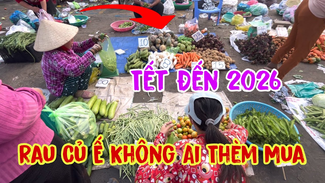 Quá Ế Xổ Rẻ 20k Tiểu Thương Bán Tháo Đại Cho Bà Con Mua 