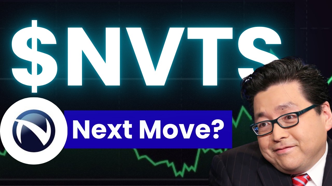 Обзор акций NVTS за вторник | Анализ акций и прогноз цен Navitas Semiconductor
