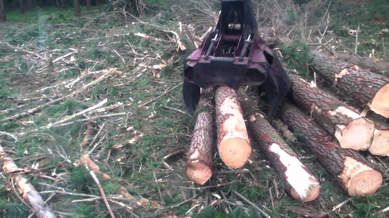 satco felling head shoveling with timberjack 950