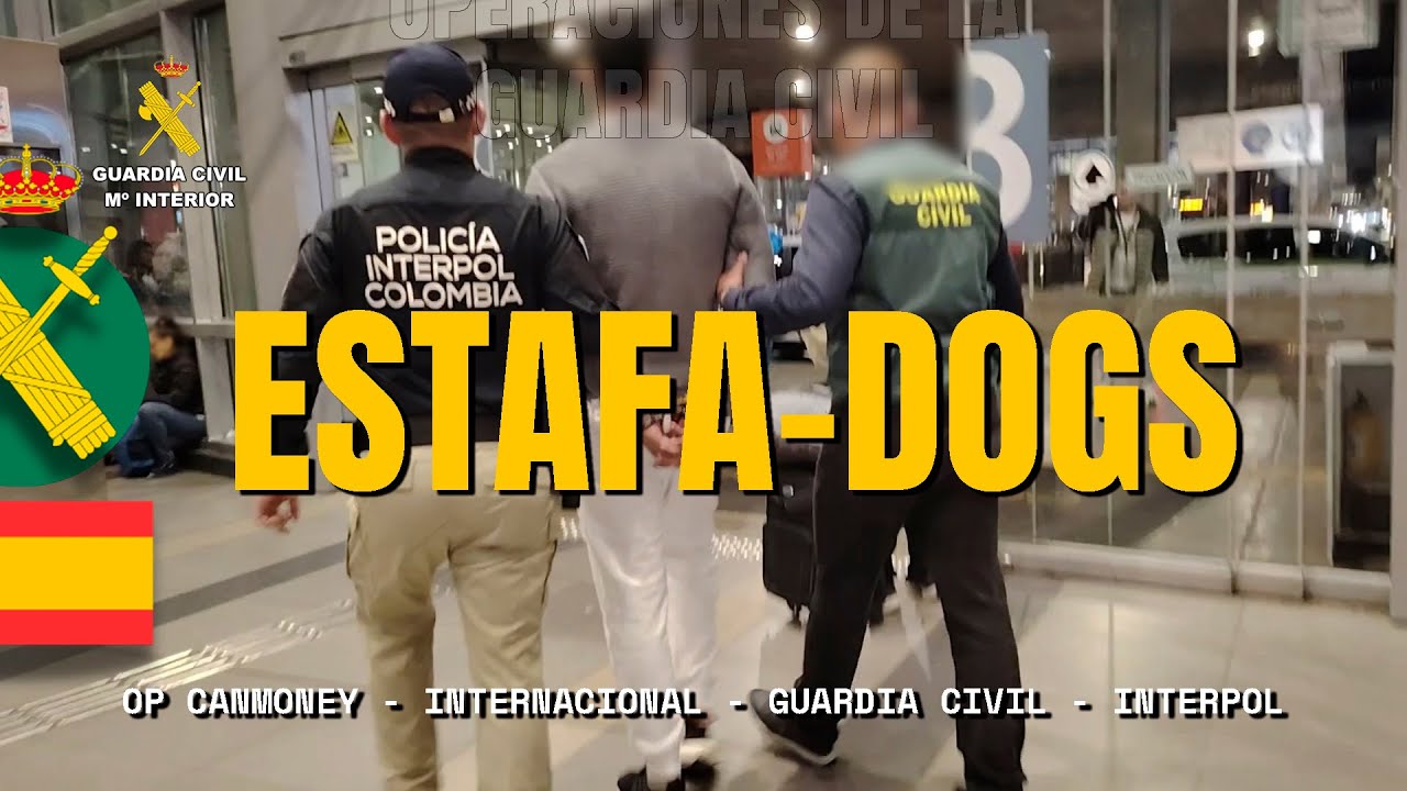 Desmantelada una red de venta fraudulenta de mascotas que operaba en Colombia y Espa&ntilde;a