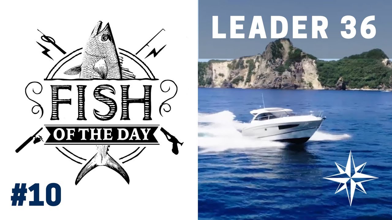 FISH OF THE DAY #10 • À bord du Leader 36