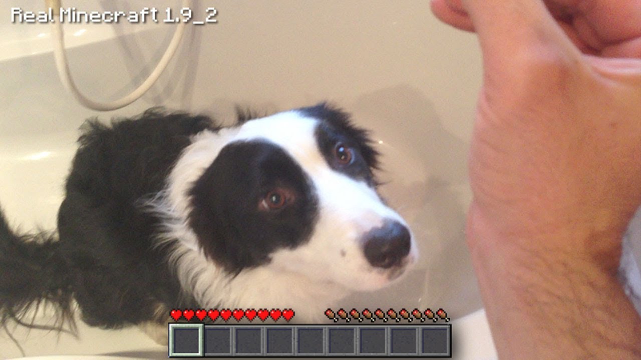 Real Life Minecraft - WASHING THE PUPPIES!!