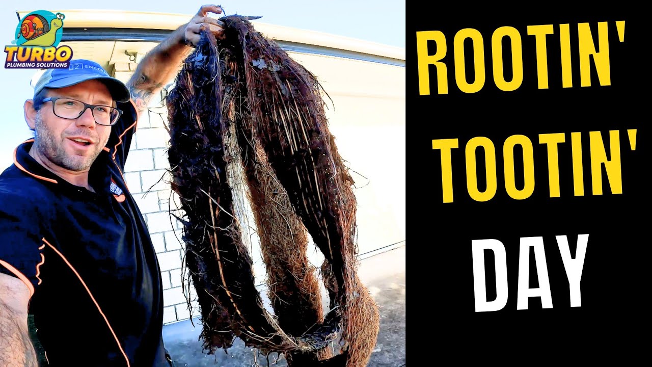 Blocked Drain 492 Could This Be The World Record Root Extraction? #rootextraction
