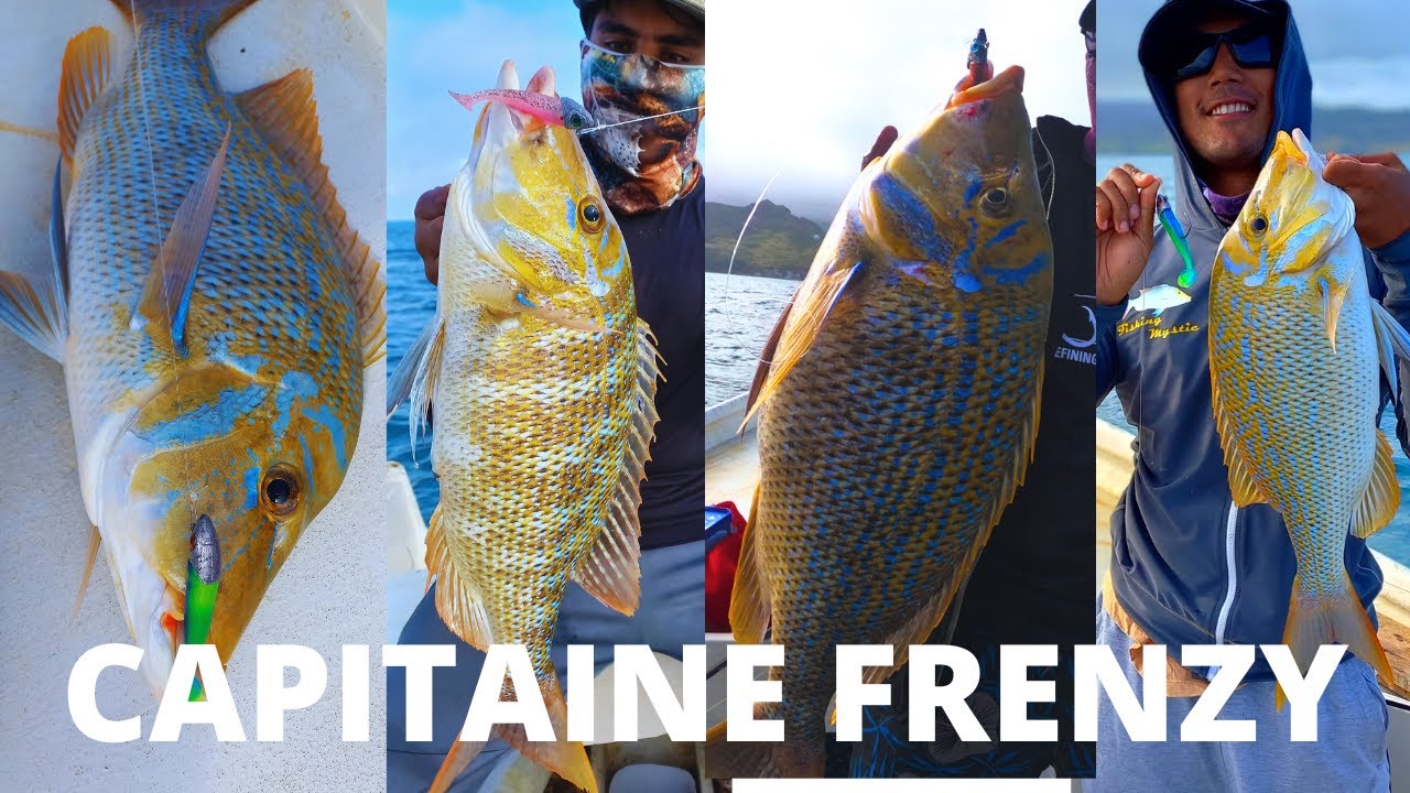 Hard Battles in the lagoons!! - Newbies hooking up big Capitaines!! Ep 16