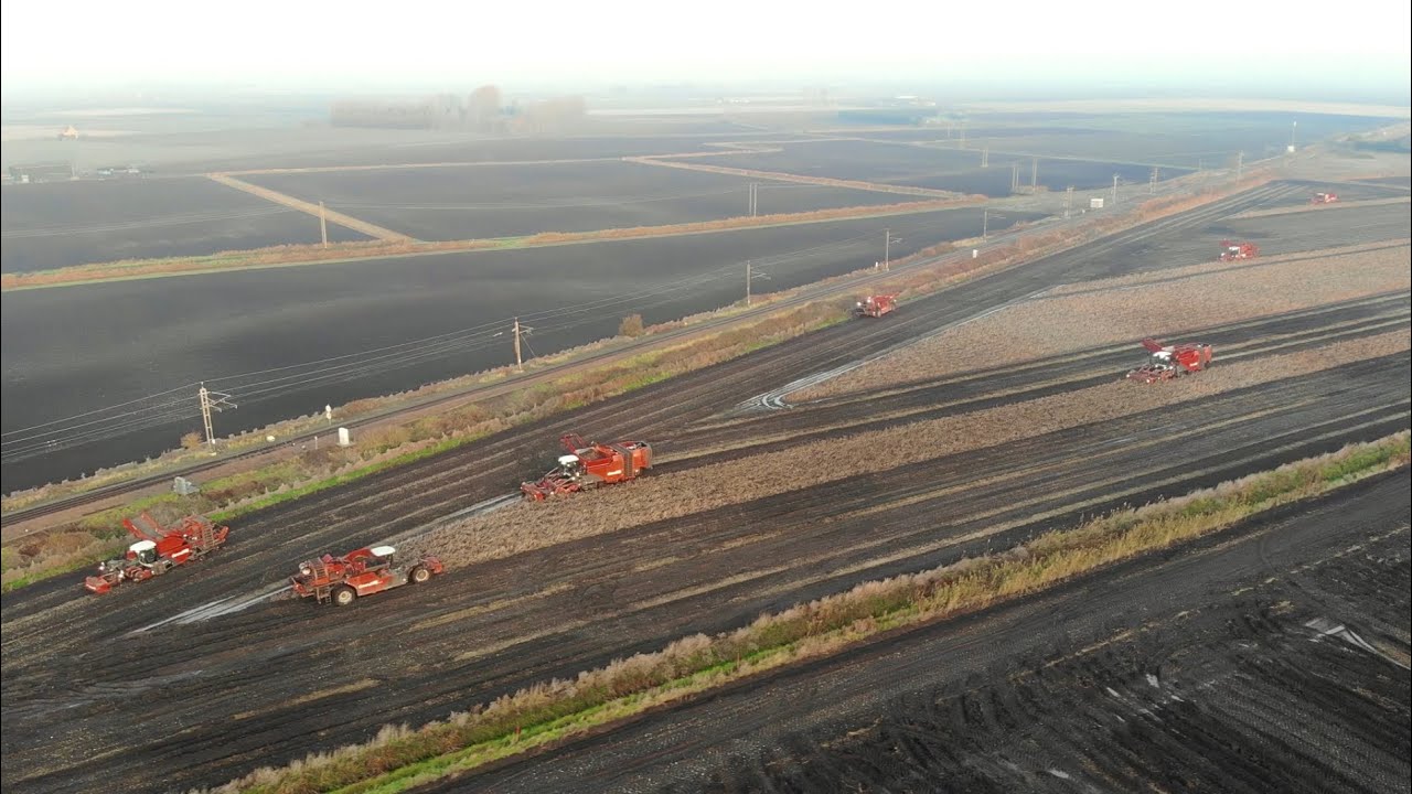 8 Potato Harvesters 2 x dewulf Kwatro, 5 x dewulf Ra3060 & 1 x Grimme Varitron