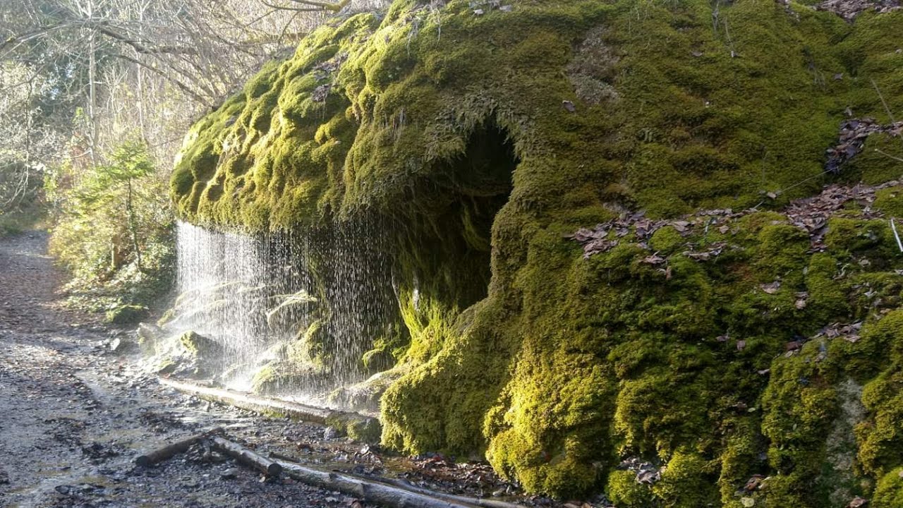 🥾Wegsuche-Wanderung: Bonndorf➝ Boll➝ Wutachschlucht➝ Löffingen