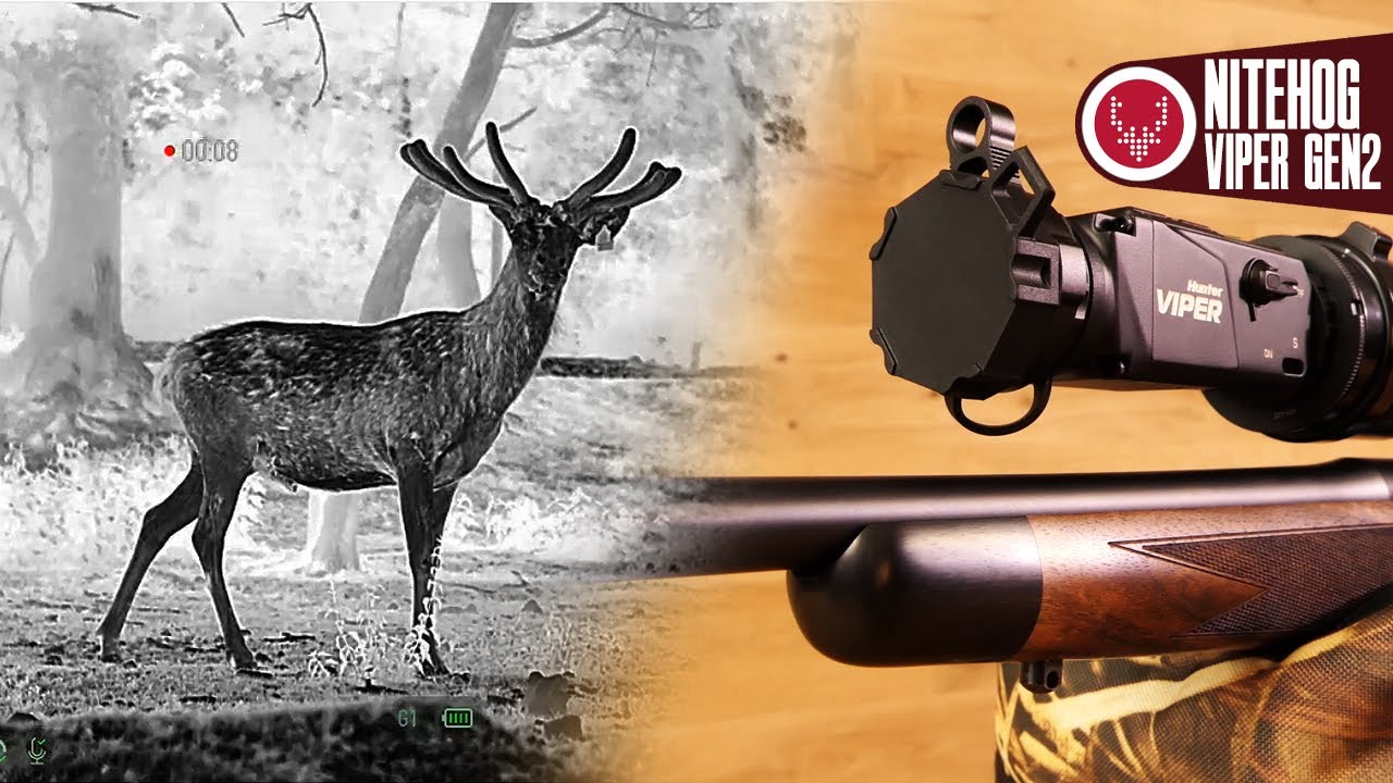 Nitehog Viper Hunter Gen 2 – Alle Details zum 🔥 brandneuen Nitehog Viper Wärmebildvorsatzgerät