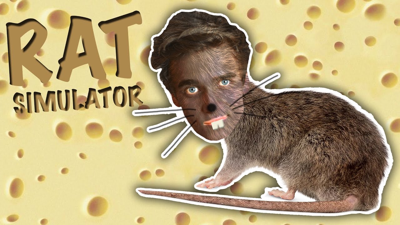 ЖИВУ КРЫСИНОЙ ЖИЗНЬЮ | Rat Simulator