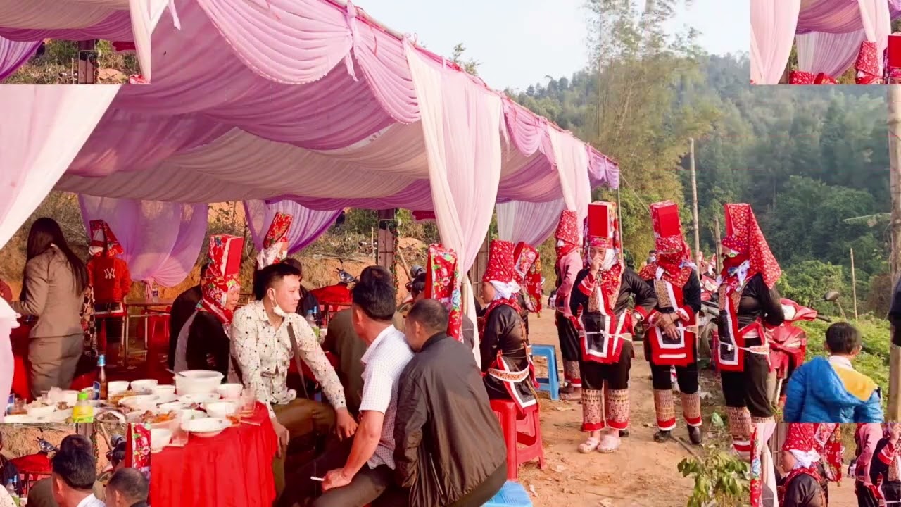 k&igrave;m Miền pả ki&egrave;n kh&eacute; dung |  kim mien pa dung