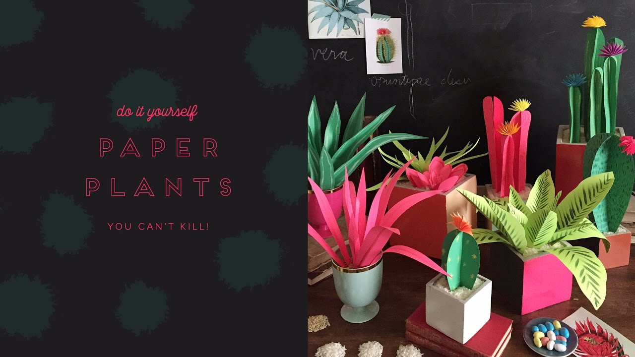 DIY paper plants