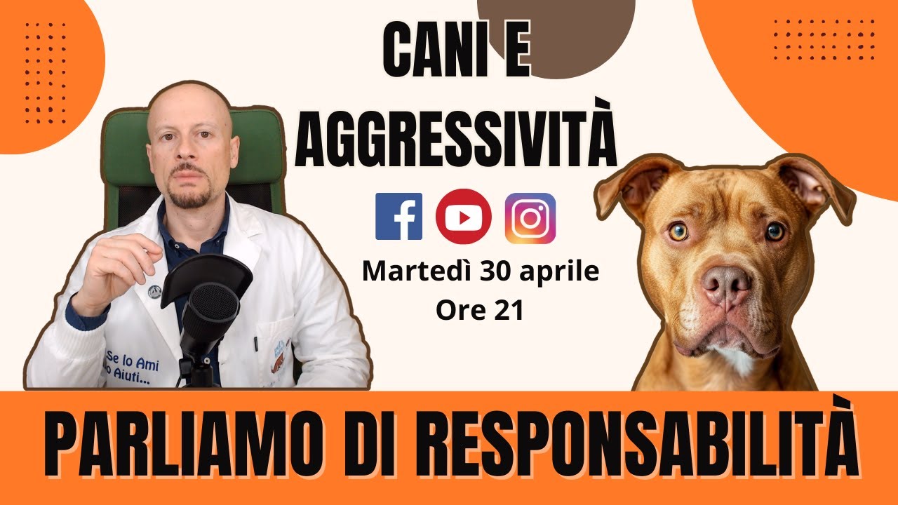 Cani e Aggressività, quello che gli altri non dicono
