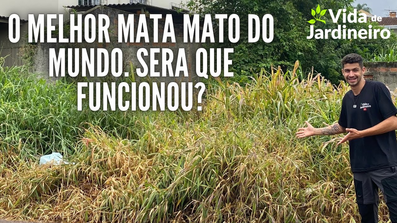 Testamos na prática o melhor mata mato do mundo! (Será que deu certo? Veja o resultado após 30 dias)