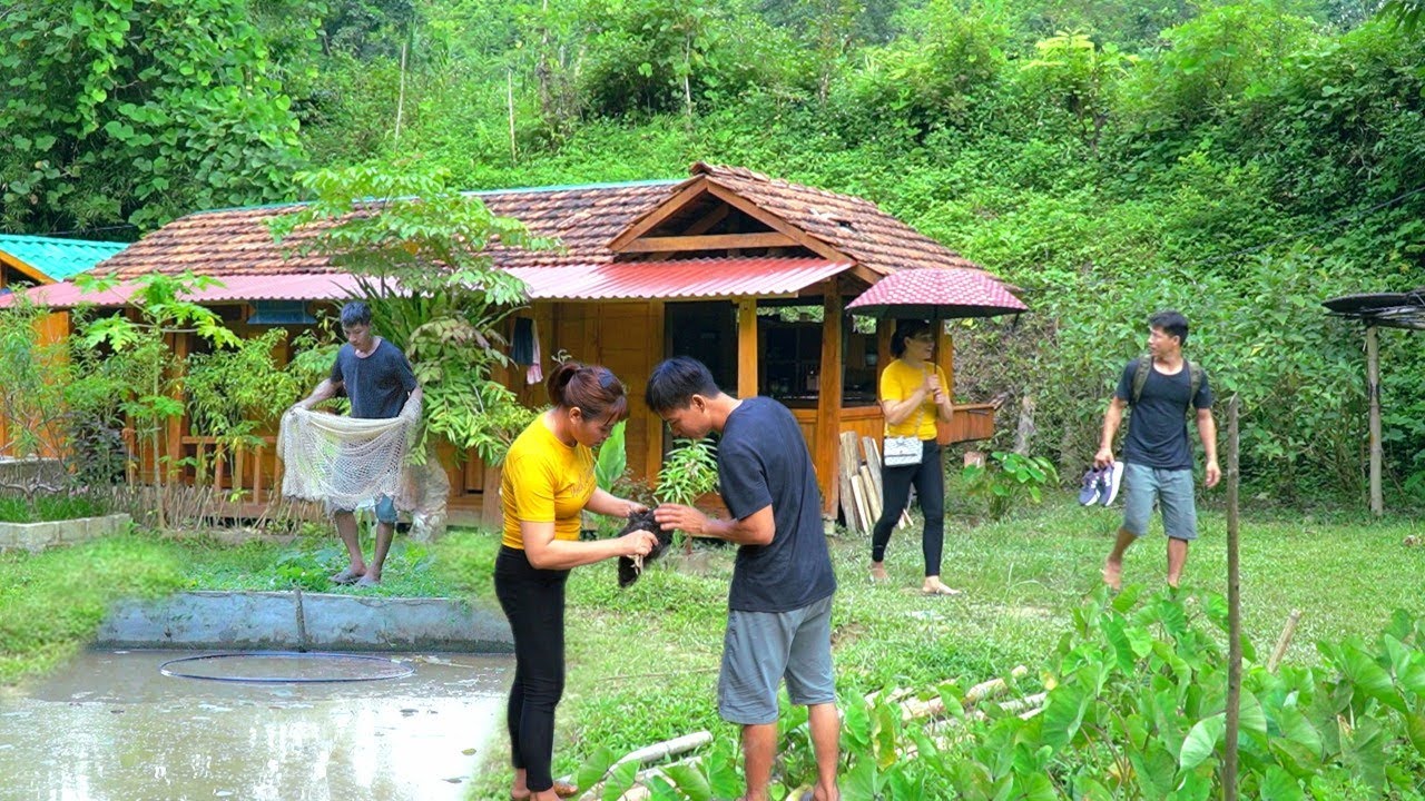 Catch fish, chicken, prepare for honeymoon in the deep forest | Forest life skills DT