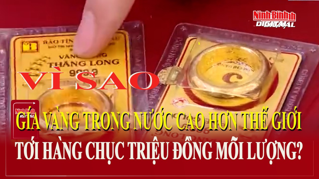 Vì sao giá vàng trong nước cao hơn thế giới hàng chục triệu đồng/lượng| Ninh Bình Digital