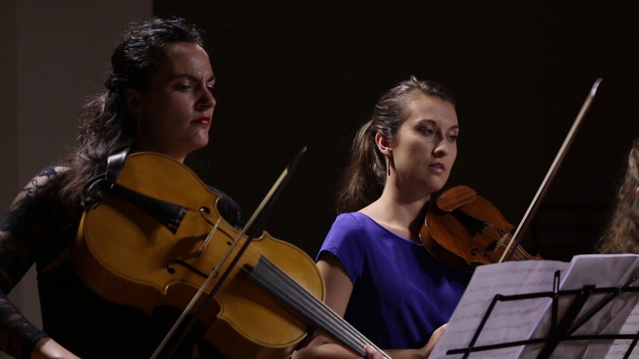 Vivaldi: Cello concerto in D minor RV 407 (Allegro) | Jesenka Balic Zunic, Kore