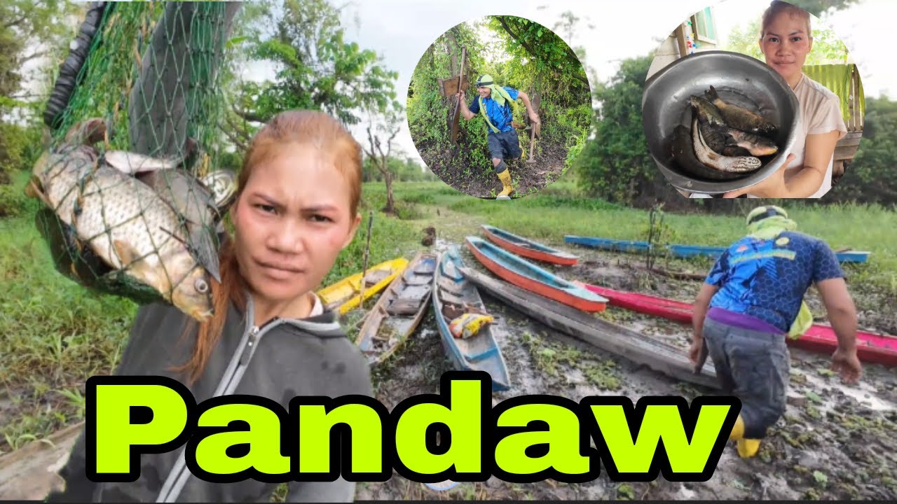 PANDAW