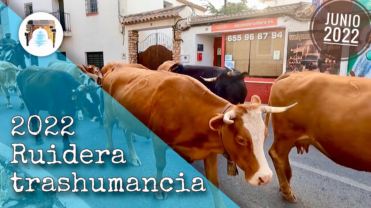 TRASHUMANCIA 2022